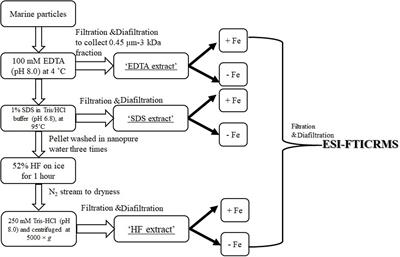 Molecular Nature of Marine Particulate Organic Iron-Carrying Moieties Revealed by Electrospray Ionization Fourier-Transform Ion Cyclotron Resonance Mass Spectrometry (ESI-FTICRMS)